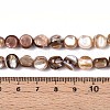 Natural Freshwater Shell Beads Strands SSHEL-N040-16-4