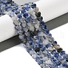 Natural Blue Spot Jasper Beads Strands G-M403-A21-02-2