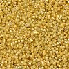 MIYUKI Delica Beads X-SEED-J020-DB2041-3