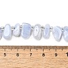 Natural Blue Lace Agate Spike Slice Beads Strands G-NH0046-B01-01-5