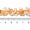 Natural Citrine Beads Strands G-C179-C02-01-5