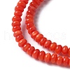 Natural Freshwater Shell Beads Strands SSHEL-C013-08A-3