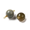 Natural Indian Agate Pendants KK-P242-09C-G03-2