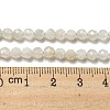 Natural Moonstone Beads Strands G-F736-01-AB-5