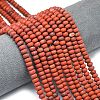 Natural Red Jasper Beads Strands G-P575-A17-6x4mm-1