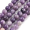 Natural Lepidolite/Purple Mica Stone Beads Strands G-M353-A01-10mm-2