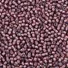 TOHO Round Seed Beads X-SEED-TR11-0305-2