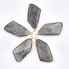 Natural Labradorite Pendants G-T112-20B-1