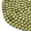 Natural Alashan Agate Beads Strands G-P573-A52-01-3