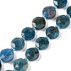 Natural Apatite Beads Strands G-C116-A28-01-2