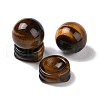 Natural Tiger Eye Display Decorations DJEW-G032-02B-2