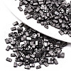 2-Hole Glass Seed Beads SEED-S031-M-SH576-1