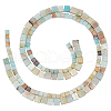   2 Strands 2 Styles Natural Flower Amazonite Beads Strands G-PH0002-53-7