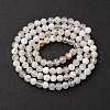 Natural Rainbow Moonstone Beads Strands G-G161-A01-03A-5