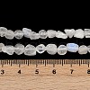 Natural Rainbow Moonstone Beads Strands G-Q060-D12-5