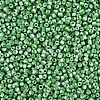 8/0 Glass Seed Beads SEED-S006-34-3
