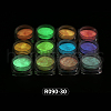 12 Colors Nail Art Luminous Powder MRMJ-R090-30-2
