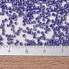 MIYUKI Delica Beads X-SEED-J020-DB1569-4