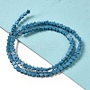 Dyed Synthetic Turquoise Beads Strands G-G085-B31-01-2