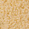 TOHO Round Seed Beads X-SEED-TR08-0901-2
