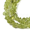 Natural Peridot Beads Strands G-P332-48-01-2