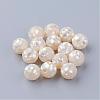 Natural White Shell Beads SSHEL-Q298-16mm-08-1