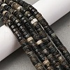 Natural Biotite Beads Strands G-L624-I12-3x6mm-1