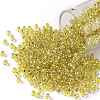 TOHO Round Seed Beads SEED-JPTR08-2151S-1