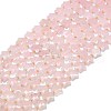 Natural Rose Quartz Beads Strands G-P573-C08-01-2