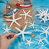  30Pcs 6 Styles Opaque Resin Sea Animal Decoden Cabochons RESI-NB0002-07-5