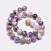 Natural Chevron Amethyst Beads Strands G-D862-45-12mm-2