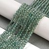 Natural Green Apatite Beads Strands G-G105-A01-02-2