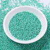 MIYUKI Delica Beads SEED-X0054-DB0627-2