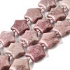 Natural Rhodonite Beads Strands G-NH0005-031-1