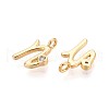 Brass Micro Pave Cubic Zirconia Charms KK-N263-97G-N-2