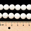Shell Pearl Beads Strands BSHE-K015-10mm-03-2