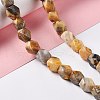 Natural Crazy Lace Agate Beads Strands G-L235B-12-2