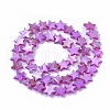 Freshwater Shell Beads Strands X-SHEL-T014-009E-2