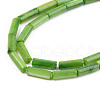 Natural Freshwater Shell Beads Strand SHEL-T017-40A-3