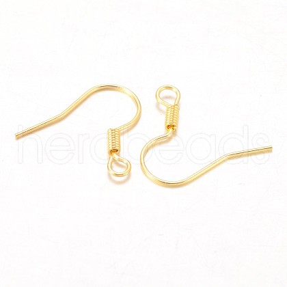 Iron Earring Hooks X-E133-G-1
