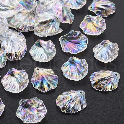 Transparent Acrylic Pendants X-MACR-S373-73-C02-1