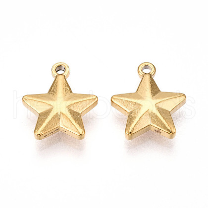 304 Stainless Steel Charms STAS-N109-143G-1