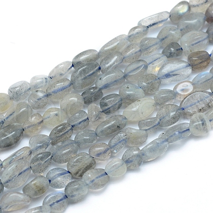 Natural Labradorite Beads Strands G-L550A-06-1