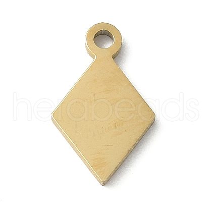 304 Stainless Steel Charms STAS-E501-05G-1