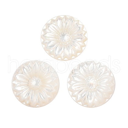 Natural Black Lip Shell Carved Cabochons SSHEL-I026-17A-1