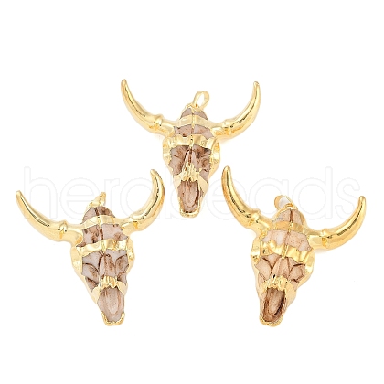 Resin Big Pendants RESI-E008-05G-04-1