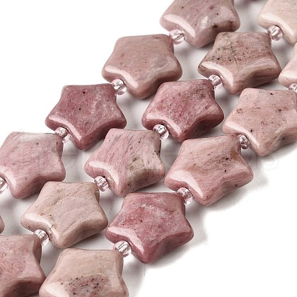 Natural Rhodonite Beads Strands G-NH0005-031-1