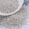 MIYUKI Delica Beads SEED-J020-DB0551-1