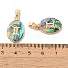 Constellation Natural Paua Shell Pendants KK-P265-01G-10-3