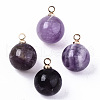 Natural Amethyst Charms G-N332-024G-10-1